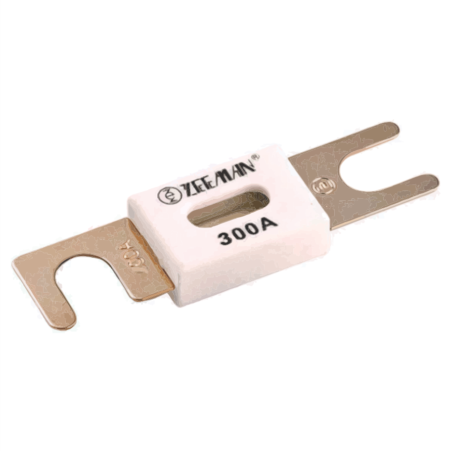 ANL-fuse 300A/80V for 48V products (1 pc)